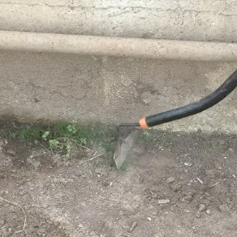 förbereda växthus förbereda växthus